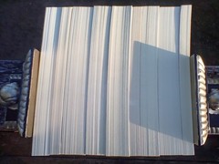Lot of 11 Shatter Me Series in 9 books Complete, Novellas, Watch Me Tahereh Mafi