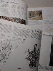 How To Paint Draw Instruction Realistic Perspective Portrait Trees Cottage Lot